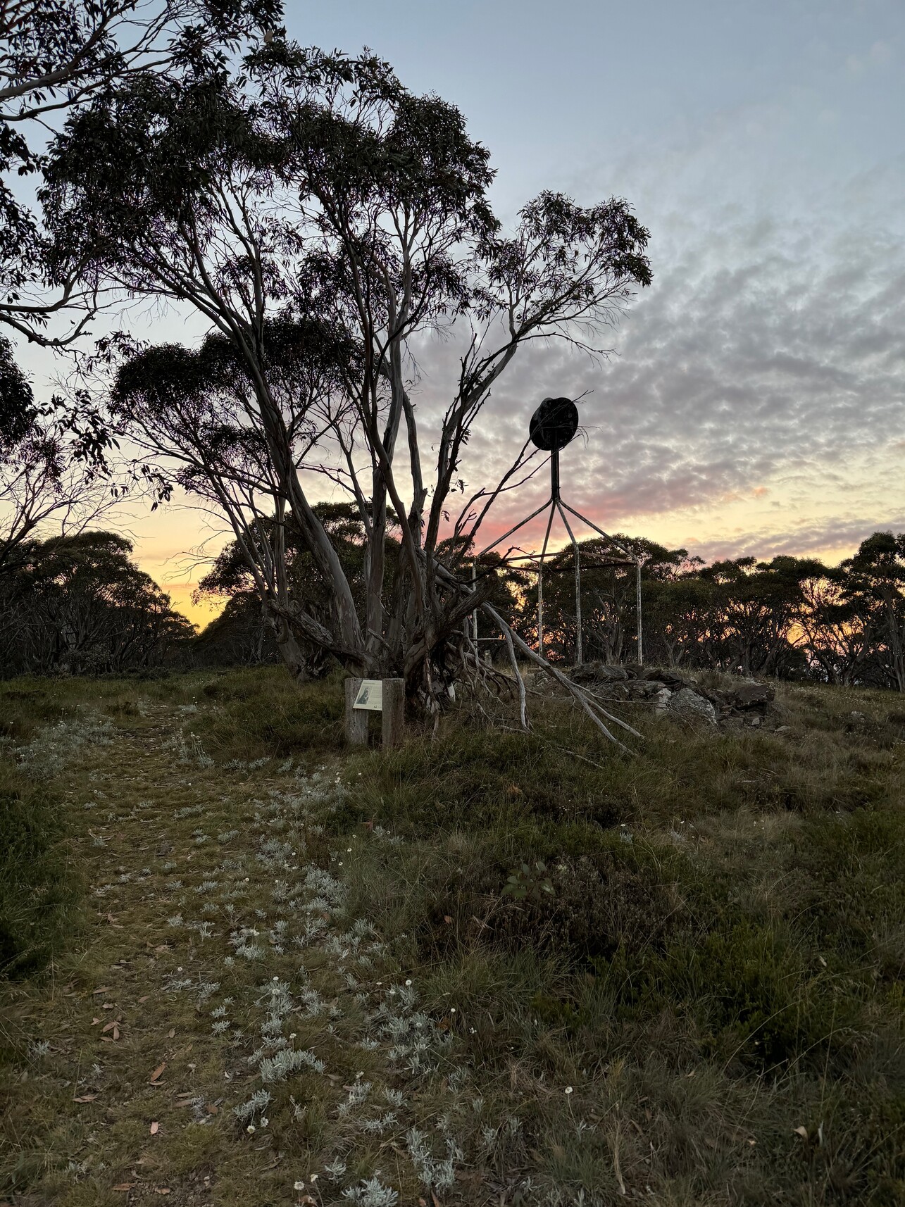 Mt Franklin